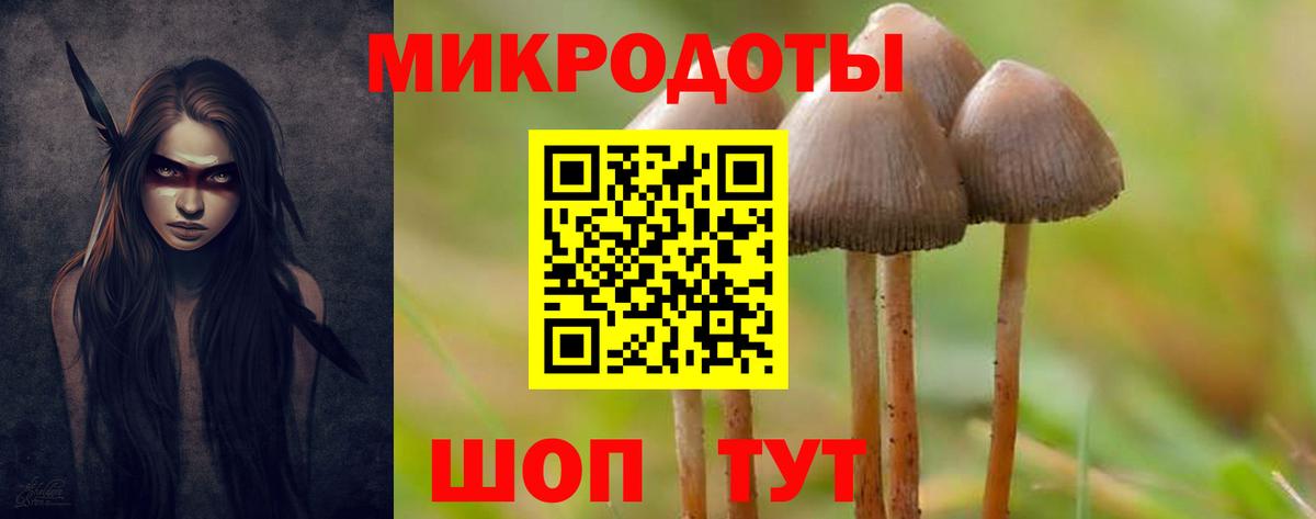 Усть-Илимск  Галлюциногенные грибы Magic Shrooms  Вход с VPN 